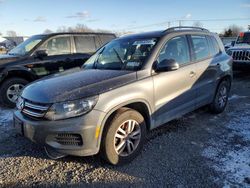 Salvage cars for sale from Copart Hillsborough, NJ: 2015 Volkswagen Tiguan S