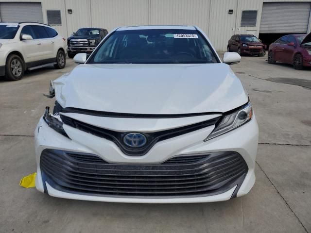 2019 Toyota Camry Hybrid