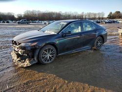 Toyota Camry salvage cars for sale: 2021 Toyota Camry SE