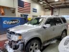 2009 Ford Escape Limited