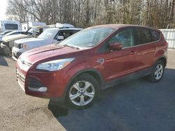 Salvage cars for sale at Glassboro, NJ auction: 2015 Ford Escape SE