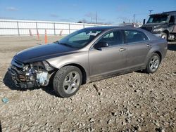 Salvage cars for sale at auction: 2010 Chevrolet Malibu LS