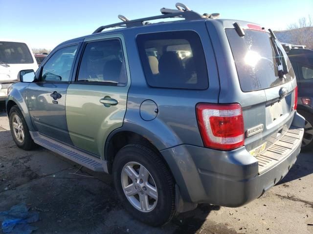 2010 Ford Escape Hybrid