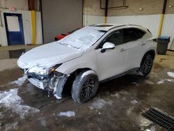 Salvage cars for sale at Glassboro, NJ auction: 2024 Lexus NX 350 Premium