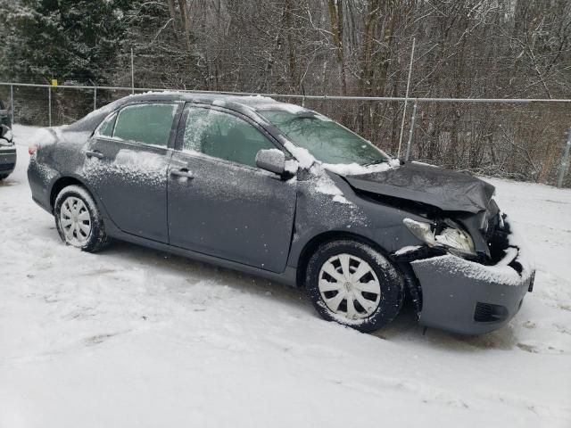 2010 Toyota Corolla Base