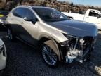 2024 Lexus NX 350H Base