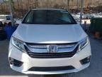 2019 Honda Odyssey EXL