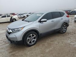 Honda crv salvage cars for sale: 2019 Honda CR-V EXL