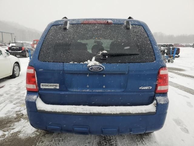 2008 Ford Escape XLT