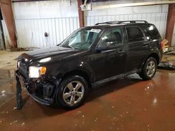 2011 Ford Escape XLT en venta en Lansing, MI