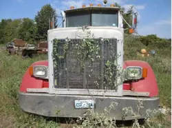 Salvage cars for sale from Copart Oklahoma City, OK: 1995 Peterbilt 378