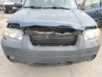 2005 Ford Escape XLT