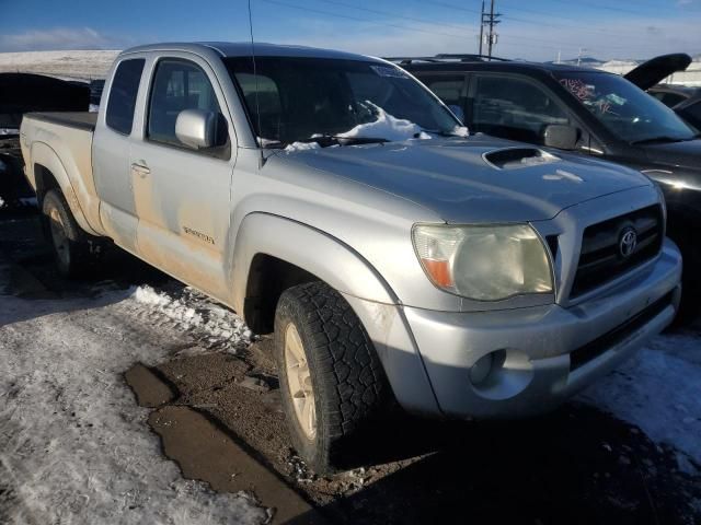 2006 Toyota Tacoma Prerunner Access Cab