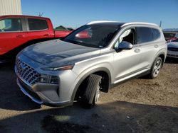 Salvage cars for sale at Tucson, AZ auction: 2023 Hyundai Santa FE SEL Premium