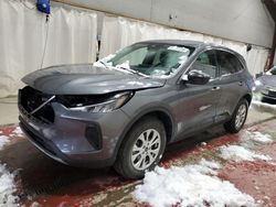 Ford Escape act Vehiculos salvage en venta: 2024 Ford Escape Active