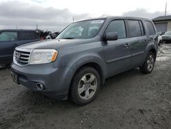 Salvage cars for sale at Eugene, OR auction: 2013 Honda Pilot EXL