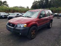 Salvage cars for sale from Copart Kapolei, HI: 2005 Ford Escape XLT