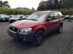 2005 Ford Escape XLT