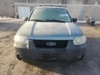 2005 Ford Escape XLT