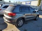 2015 Volkswagen Tiguan S