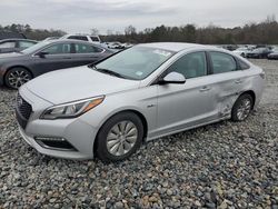 Hyundai Sonata Vehiculos salvage en venta: 2016 Hyundai Sonata Hybrid