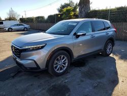 Salvage cars for sale at San Martin, CA auction: 2024 Honda CR-V EX