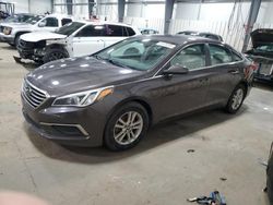 Salvage cars for sale at Ham Lake, MN auction: 2016 Hyundai Sonata SE