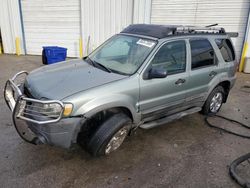 Salvage cars for sale at Montgomery, AL auction: 2006 Ford Escape XLT