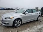 2014 Ford Fusion SE Hybrid