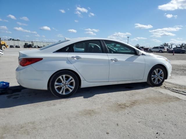 2011 Hyundai Sonata SE