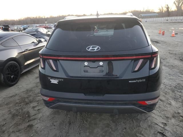 2023 Hyundai Tucson Limited