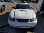 2001 Ford Mustang