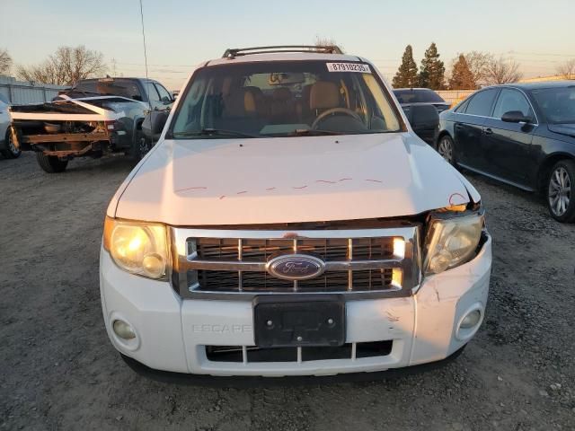 2009 Ford Escape XLT