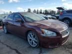 2010 Nissan Maxima S