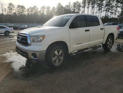 Salvage cars for sale at Harleyville, SC auction: 2011 Toyota Tundra Crewmax SR5