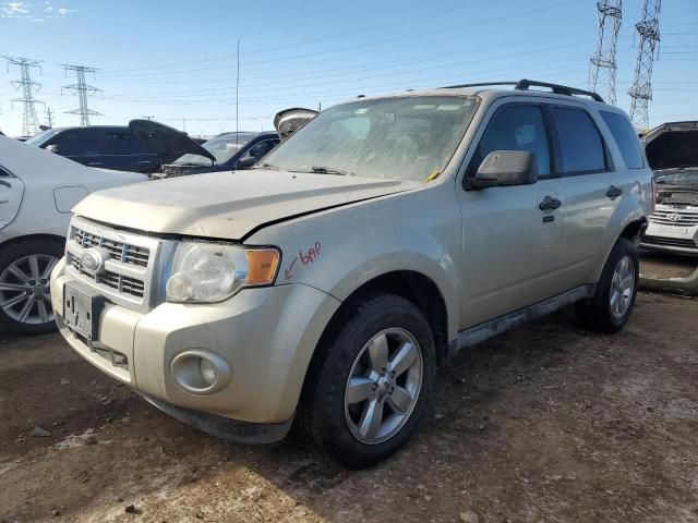 2012 Ford Escape XLT