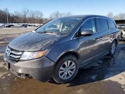 Honda salvage cars for sale: 2017 Honda Odyssey EXL