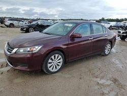 Honda Accord salvage cars for sale: 2014 Honda Accord EXL