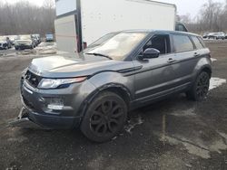 Land Rover salvage cars for sale: 2015 Land Rover Range Rover Evoque Pure Plus