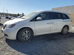 Salvage Cars with No Bids Yet For Sale at auction: 2016 Honda Odyssey EXL