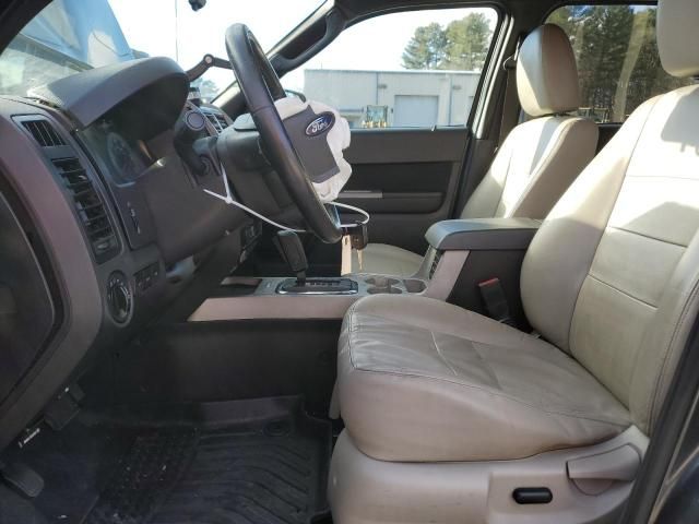 2009 Ford Escape XLT