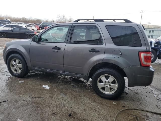 2011 Ford Escape XLT