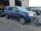 2013 Honda Pilot EXL