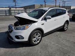 Salvage SUVs for sale at auction: 2018 Ford Escape SE