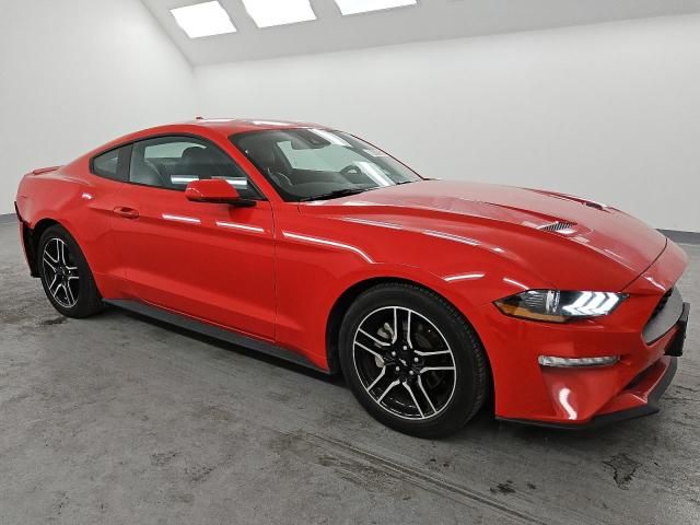 2023 Ford Mustang