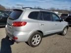 2009 Hyundai Santa FE SE