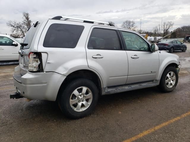 2010 Ford Escape Hybrid