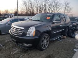 Cars With No Damage for sale at auction: 2011 Cadillac Escalade Luxury