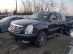 2011 Cadillac Escalade Luxury