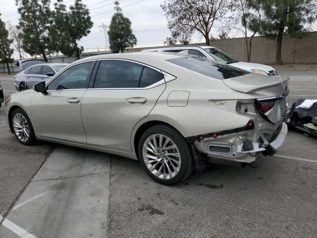 2021 Lexus ES 300H Luxury